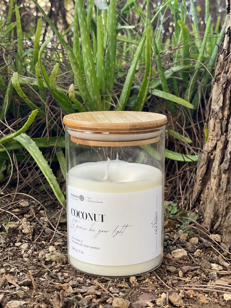 Let Peace Be Your Light